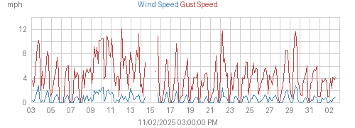 Month's Wind and Gust Speed graph