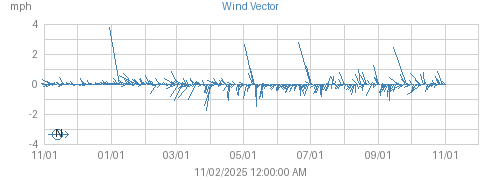 Year's Wind Vector graph